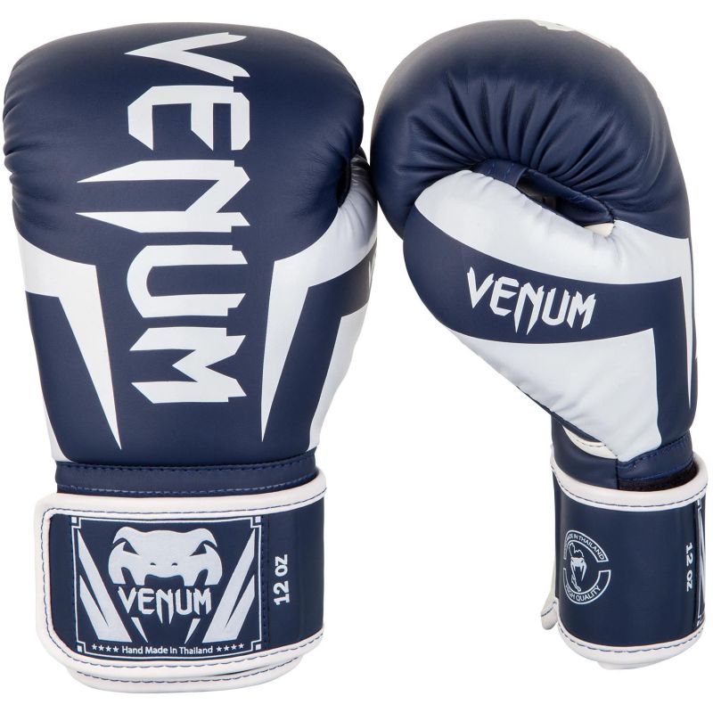 Gants de boxe bleu